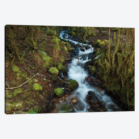 Stream In The Rainforest Near Alice Lake Provincial Park. Squamish, British Columbia, Canada. Canvas Print #KPI12} by Kristin Piljay Canvas Print