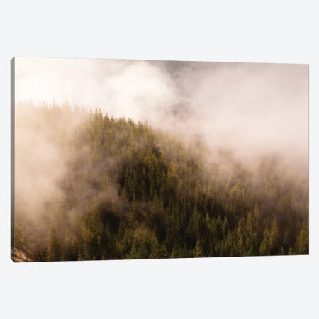 Mist Over The Trees In Squamish, British Columbia, Canada Canvas Print #KPI6} by Kristin Piljay Canvas Art
