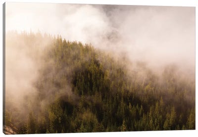 Mist Over The Trees In Squamish, British Columbia, Canada Canvas Art Print - British Columbia Art