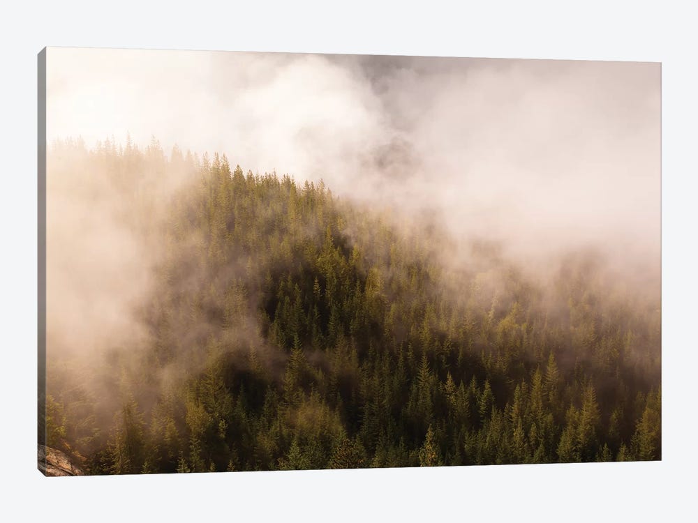 Mist Over The Trees In Squamish, British Columbia, Canada by Kristin Piljay 1-piece Canvas Artwork