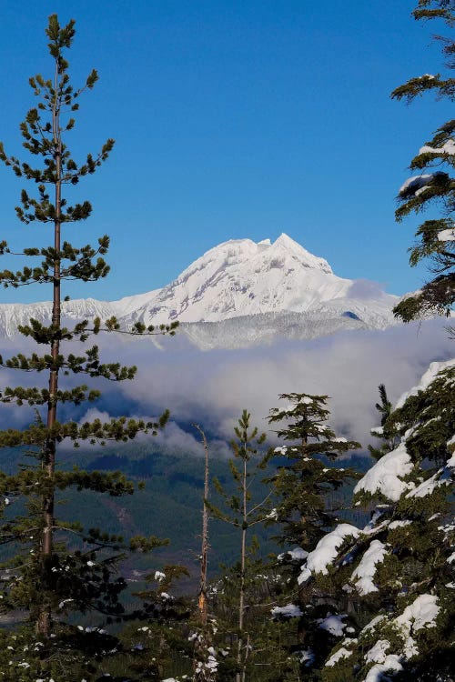 Mount Garibaldi From The Chief Overlook At The Summit Of The Sea To Sky Gondola