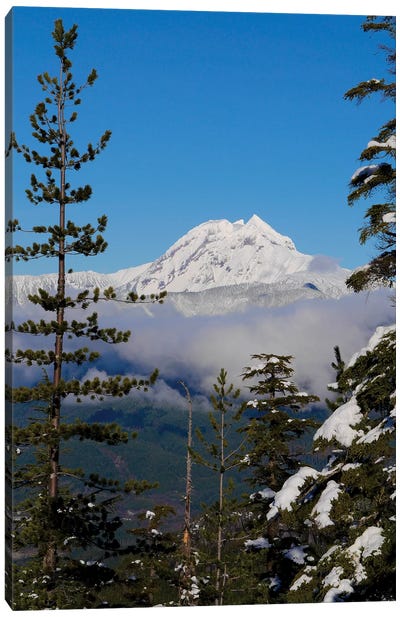 Mount Garibaldi From The Chief Overlook At The Summit Of The Sea To Sky Gondola Canvas Art Print