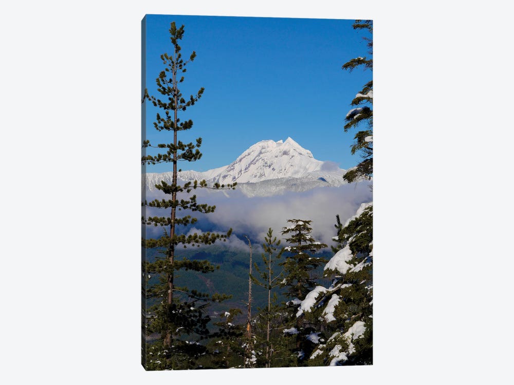 Mount Garibaldi From The Chief Overlook At The Summit Of The Sea To Sky Gondola by Kristin Piljay 1-piece Canvas Print