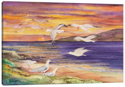 Seagull Sunset Canvas Art Print - kathleen parr mckenna