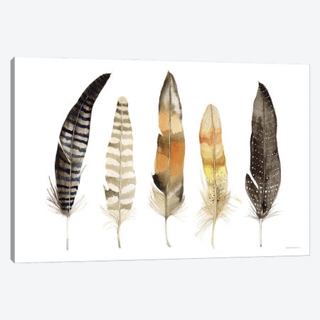 Natural Feathers Canvas Print #KPM33} by Kathleen Parr McKenna Canvas Print