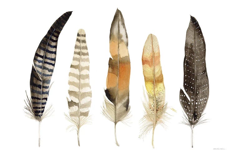 Natural Feathers