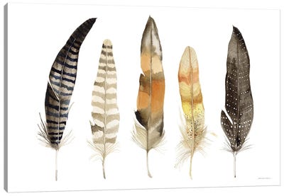 Natural Feathers Canvas Art Print - kathleen parr mckenna
