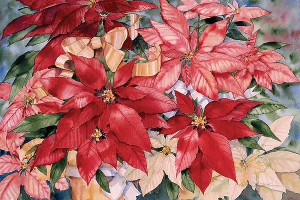 Christmas: Poinsettia by Kathleen Parr McKenna