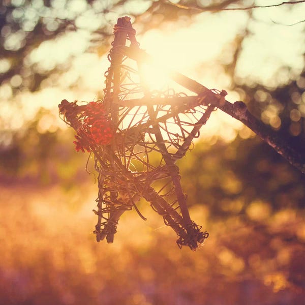 Farmhouse Festive: Morning Star by Kelly Poynter