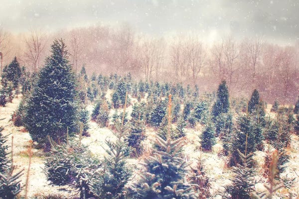 Abstract Landscapes: Nature's Beauty by Kelly Poynter