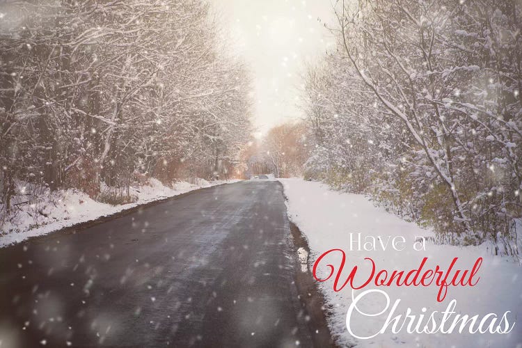 Wonderful Christmas by Kelly Poynter wall art