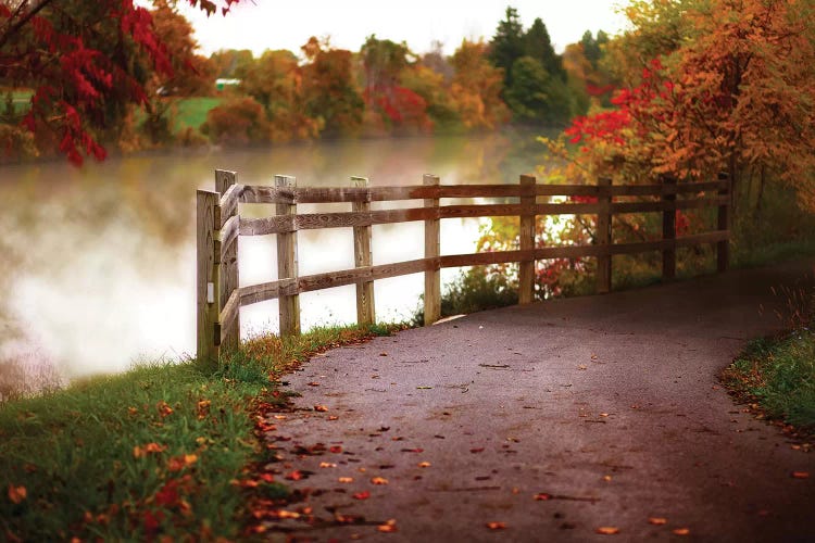 Misty Lake Path