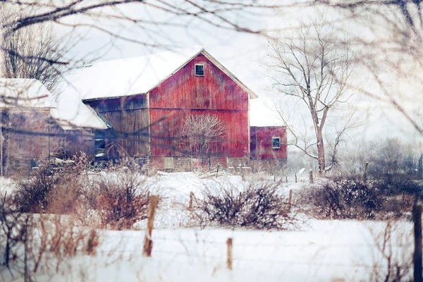 Large Photography - Canvas Prints: Winter Barn by Kelly Poynter