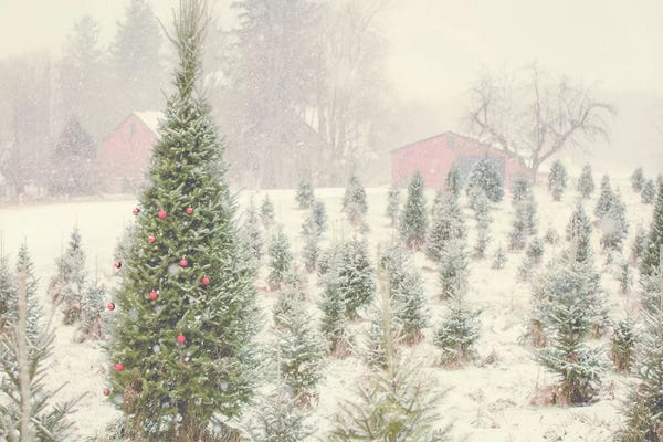 Cabins: Holiday Cabin by Kelly Poynter