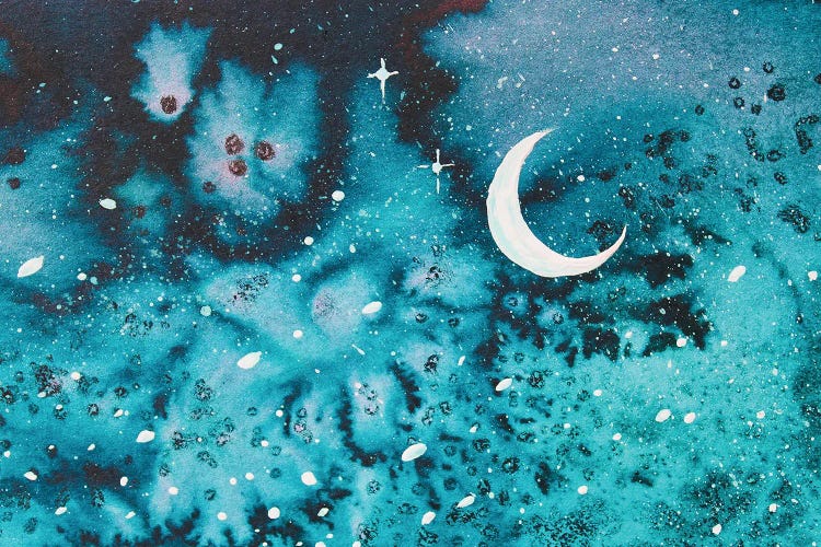 Snowy Cresent Moon by Karli Perold wall art