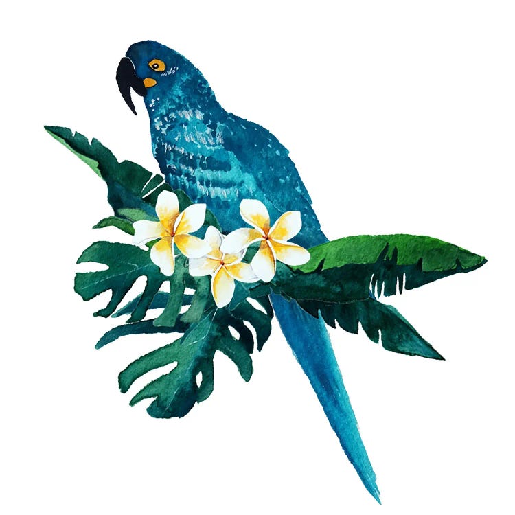 Blue Parot by Karli Perold wall art