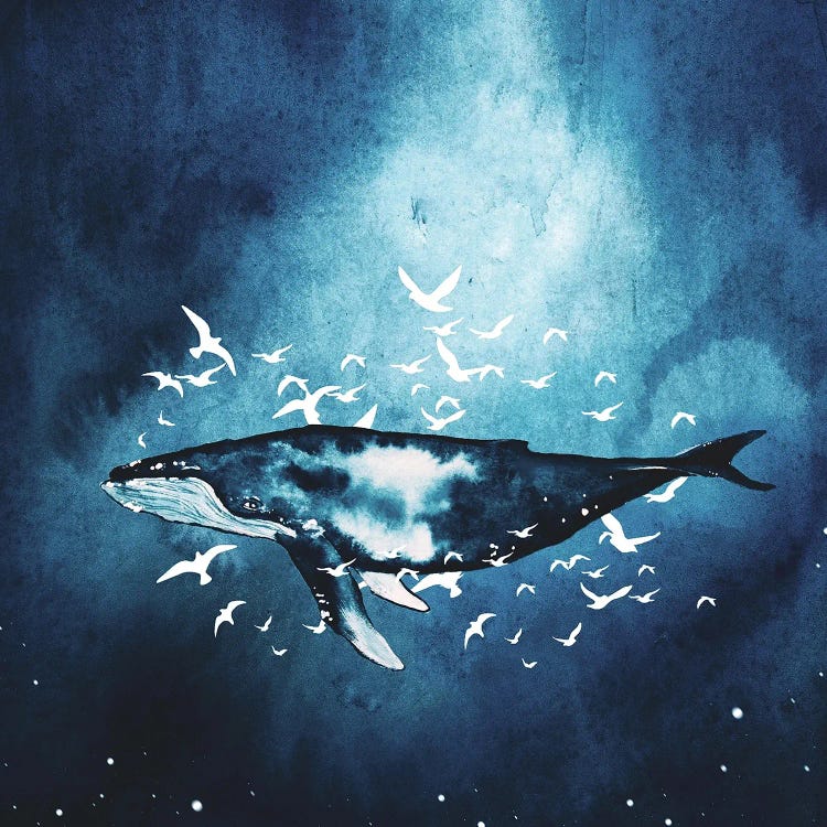 Whale Dreams