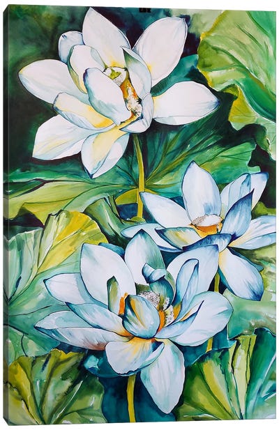 Waterlilies Canvas Art Print - Karli Perold