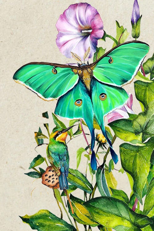 Moth And Flowers by Karli Perold wall art