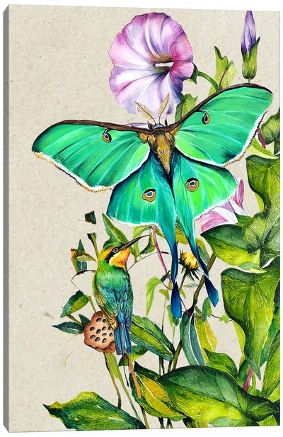 Moth And Flowers Canvas Art Print - Karli Perold