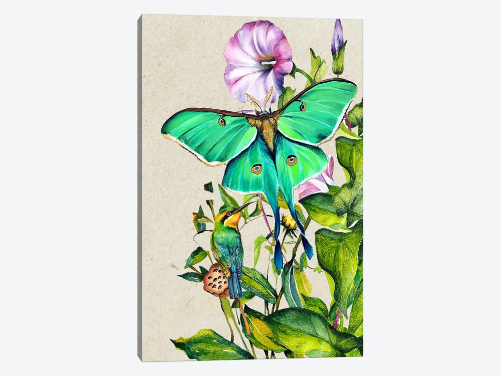 Moth And Flowers by Karli Perold 1-piece Canvas Artwork