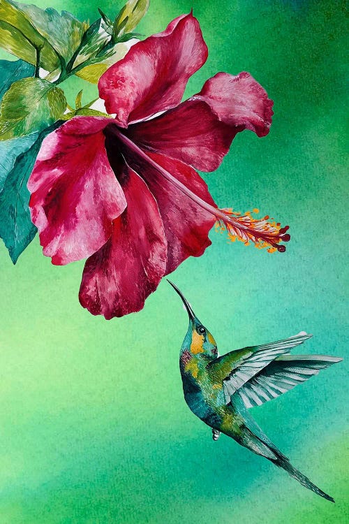 Hibiscus And Humming Bird Green