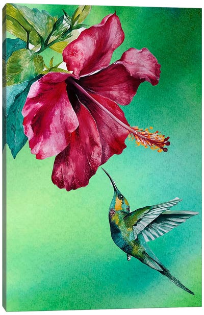 Hibiscus And Humming Bird Green Canvas Art Print - Karli Perold