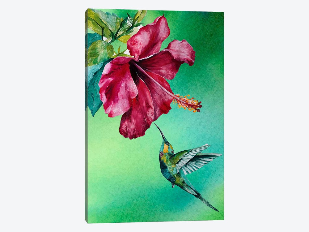 Hibiscus And Humming Bird Green by Karli Perold 1-piece Art Print