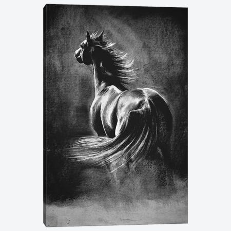 Charcoal Horse Canvas Print #KPR118} by Karli Perold Canvas Art