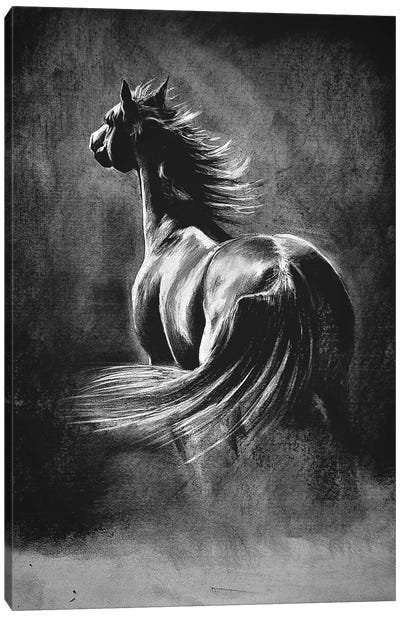 Charcoal Horse Canvas Art Print - Gray Art