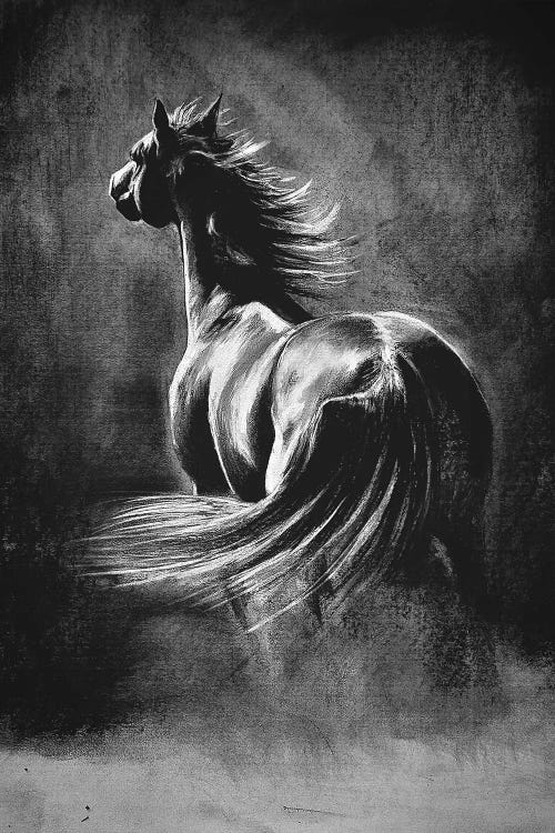 Charcoal Horse