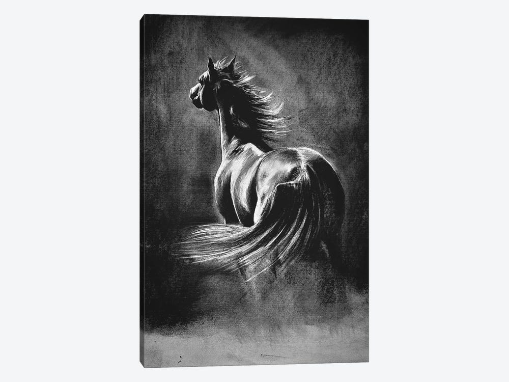 Charcoal Horse by Karli Perold 1-piece Canvas Artwork