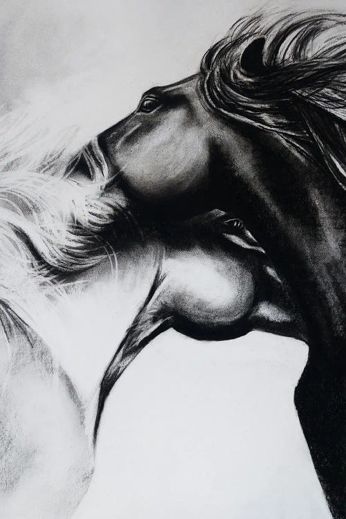 Charcoal Horse Lovers