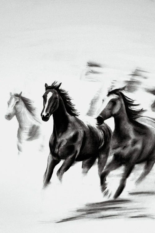 Charcoal Running Horses