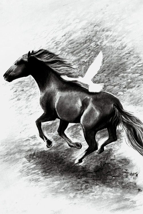 Charcoal Horse And Bird