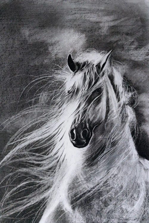 Shadowfax by Karli Perold wall art