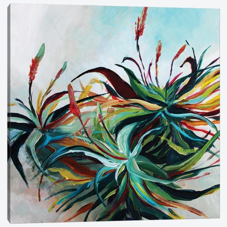 Aloes Canvas Print #KPR1} by Karli Perold Art Print