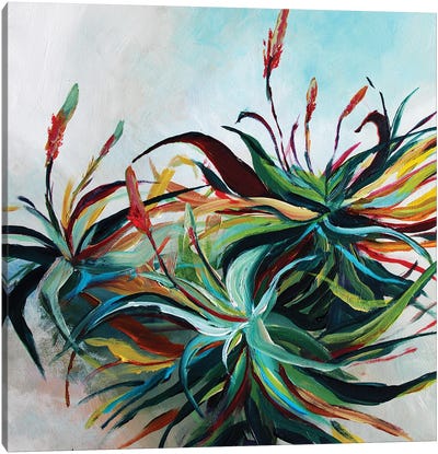 Aloes Canvas Art Print - Cactus Art