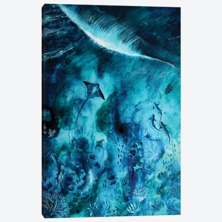 Manta Ray Reef Canvas Print #KPR21} by Karli Perold Canvas Art Print