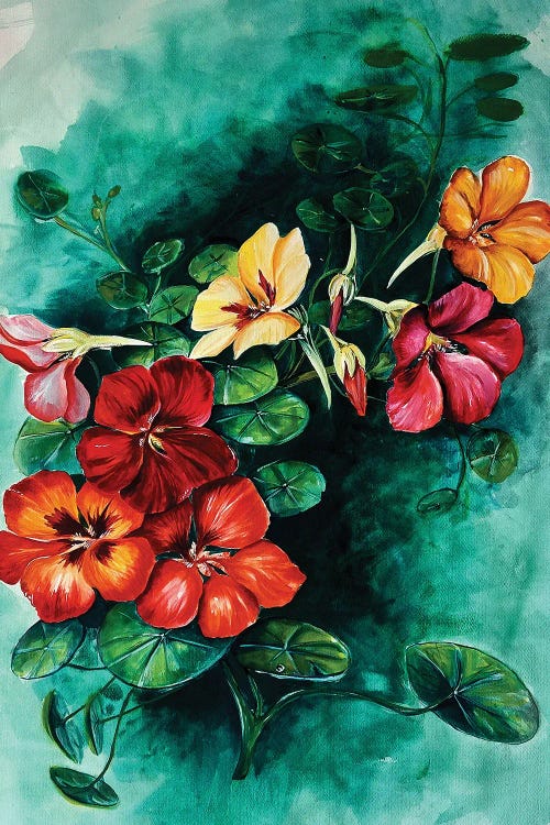Nasturtiums by Karli Perold wall art