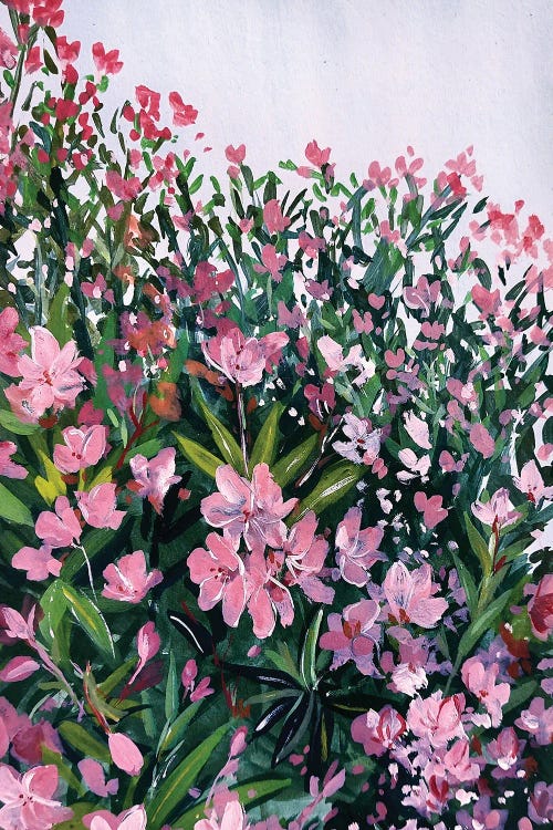 Pink Oleander by Karli Perold wall art