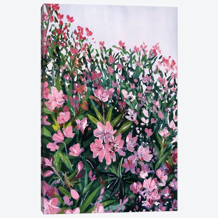 Pink Oleander Canvas Print #KPR24} by Karli Perold Canvas Wall Art