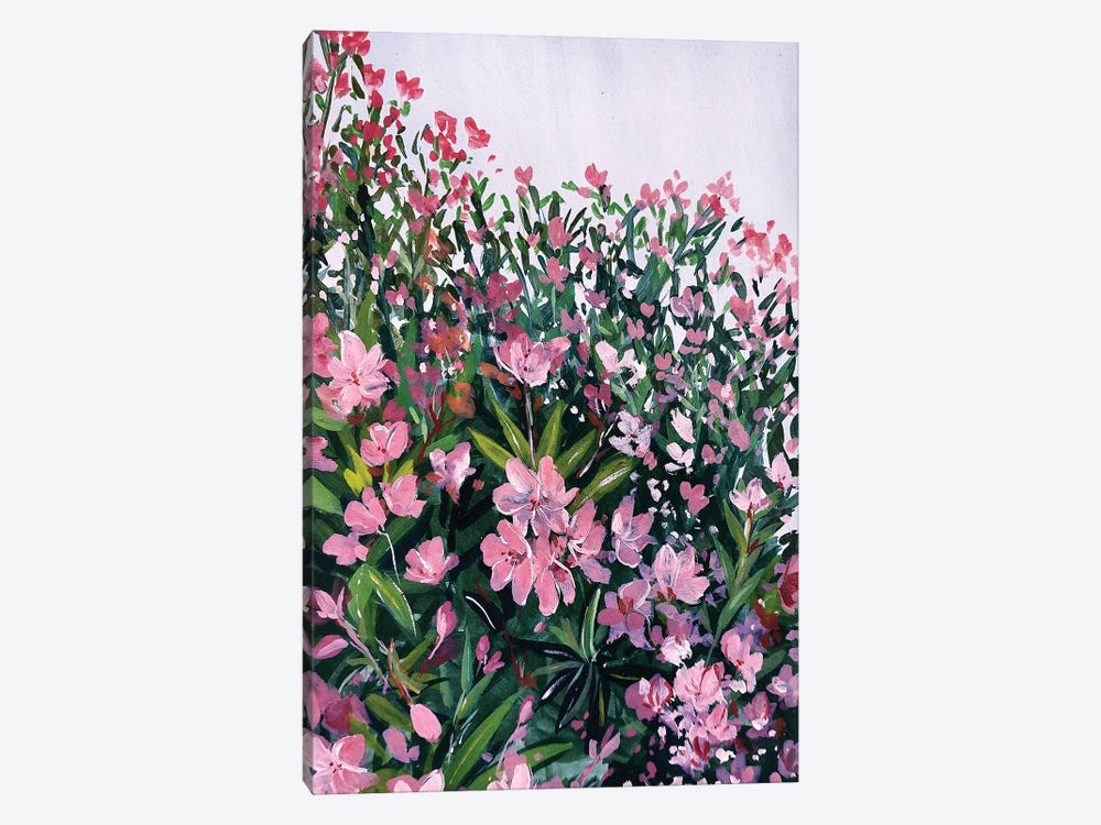 Pink Oleander by Karli Perold 1-piece Canvas Artwork