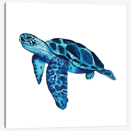 6 Sea Turtles Procreate Brush Stamps. Ocean Turtle (2439325)