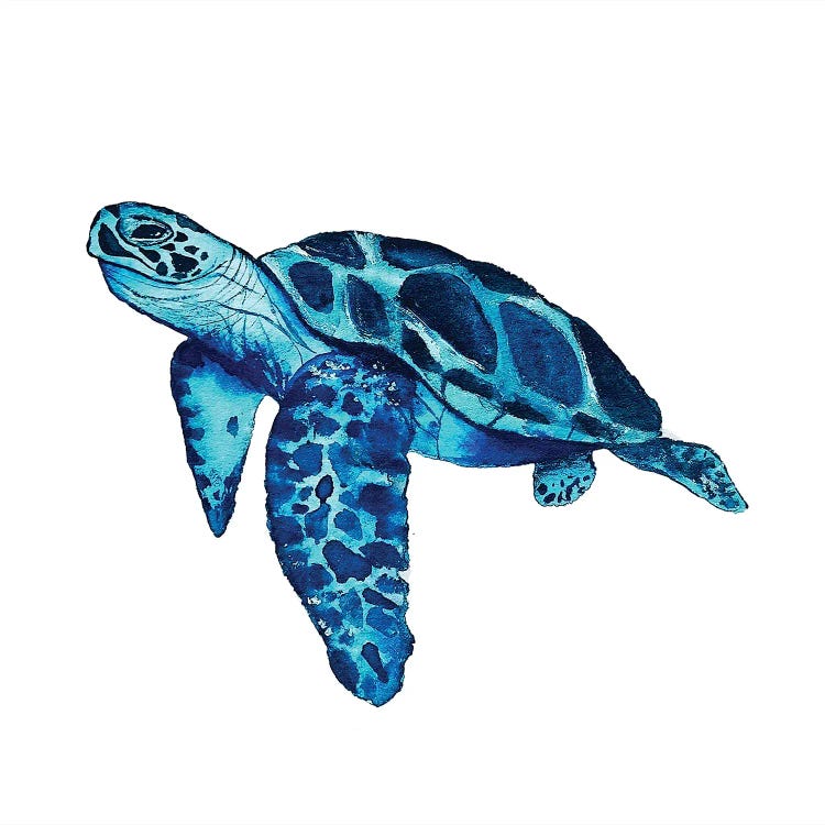 Sea Turtle II