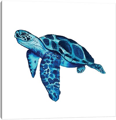 Sea Turtle II Canvas Art Print - Karli Perold