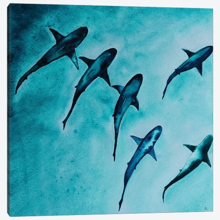 Reef Sharks Canvas Print #KPR30} by Karli Perold Canvas Artwork