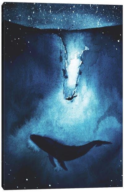 Sinking Dream Canvas Art Print - Karli Perold