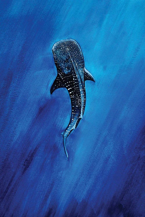 Whaleshark II