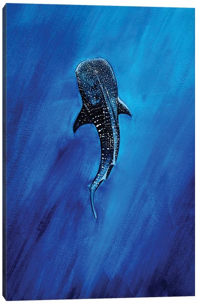 Whaleshark II Canvas Art Print - Karli Perold